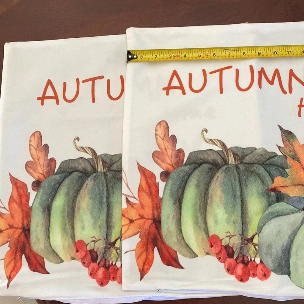 2 Pumpkin Printed Pillowcase without Pillow Core  Soft & Comfortable Decorative